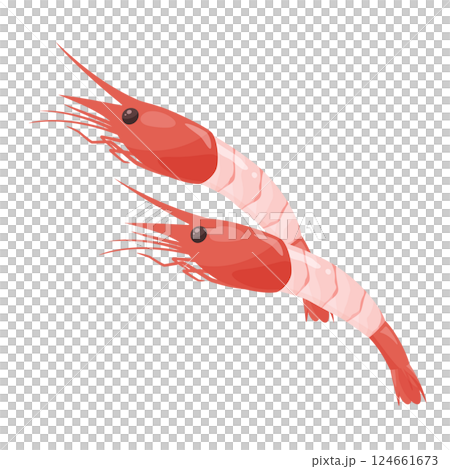 頭甜蝦生魚片的插圖素材 124661673