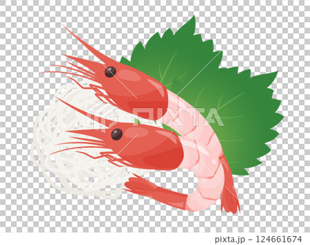 頭甜蝦生魚片插畫素材 124661674