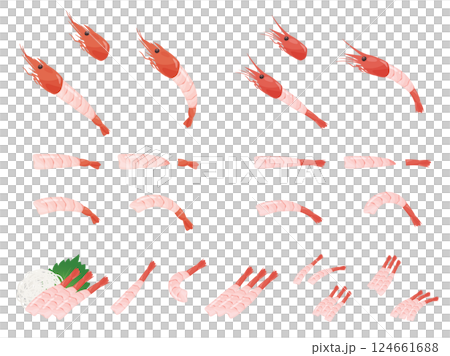 Illustration material of sweet shrimp and red shrimp sashimi 124661688