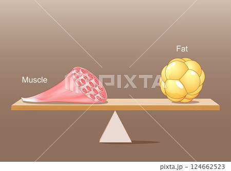 Balance between muscle and fat 124662523