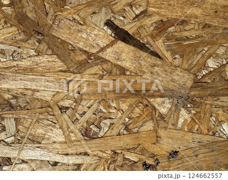 Close-up of Textured Oriented Strand Board Surface 124662557