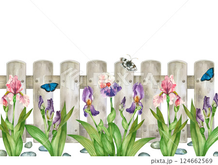 Blooming garden, watercolor border of irises, buds with green leaves, decorative fence. All objects are hand-drawn with watercolors. Flower arrangement of irises is suitable for printing. 124662569