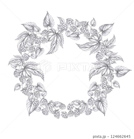 Wreath of hop branches. Isolated pencil illustration for pub design, labels, menus, cookbooks, signs. Wreath of hop branches. Isolated pencil illustration for pub design, labels, menus, cookbooks, signs. 124662645