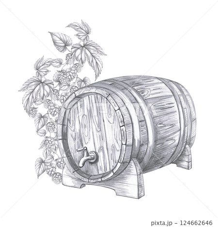 Wooden barrel with tap on the background of hop branch. Isolated pencil illustration for pub design, menu, cookbooks, signs. 124662646