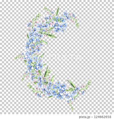 Curved composition with forget-me-not flowers. Isolated watercolor illustration of garden flowers for cosmetic product design, poster printing, clothing 124662658