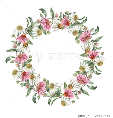 Round frame with pink and white echinacea flowers. Isolated watercolor illustration of garden flowers for design of cosmetic products, printing on posters, clothes. 124662659