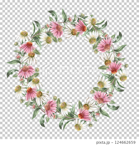 Round frame with pink and white echinacea flowers. Isolated watercolor illustration of garden flowers for design of cosmetic products, printing on posters, clothes. 124662659