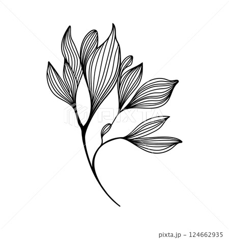 Detailed Leaves Illustrations. Detailed contour illustrations of leaves in various shapes. 124662935
