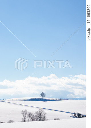 北海道美瑛町　美瑛の丘の雪景色 124663202