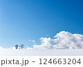 北海道美瑛町　冬の親子の木 124663204