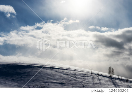 北海道美瑛町　美瑛の丘の雪景色 124663205