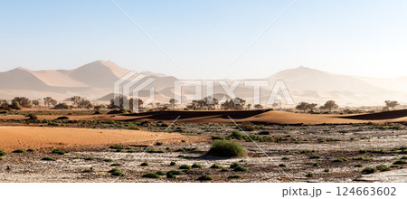 Sossusvlei valley in the Namib desert with high red sand dunes Sossusvlei valley in the Namib desert with high red sand dunes 124663602