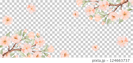 Peach or Cherry Flowers watercolor banner, horizontal square Frame. Spring Blossoming Branches. Card template. Hand drawn watercolor illustration on a white background. Ideal for greeting cards and Peach or Cherry Flowers watercolor banner, horizontal square Frame. Spring Blossoming Branches. Card template. Hand drawn watercolor illustration on a white background. Ideal for greeting cards and 124663737