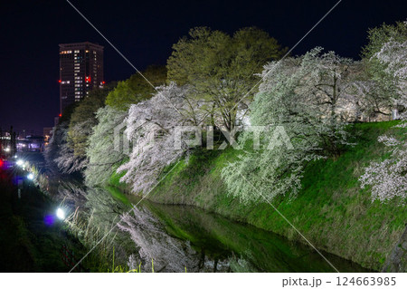 霞城公園お堀の水面に映る夜桜 124663985