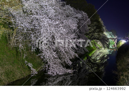 霞城公園お堀の水面に映る夜桜 霞城公園お堀の水面に映る夜桜 124663992