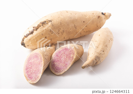 ［茨城県産］むらさき芋　さつまいも（無農薬） 124664311