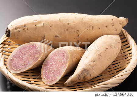 ［茨城県産］むらさき芋　さつまいも（無農薬） 124664316