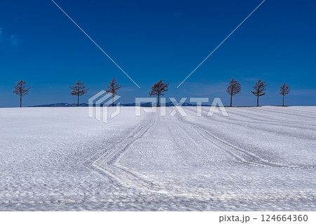 メルヘンの丘の春 124664360