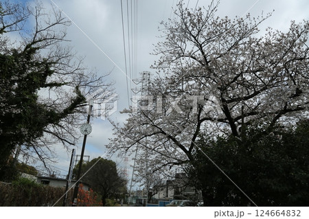 近所を歩いた 124664832