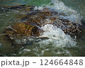 岩を乗り越える白波 124664848