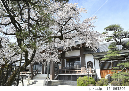 春の香積院 春の香積院 124665203