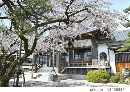 春の香積院 124665204