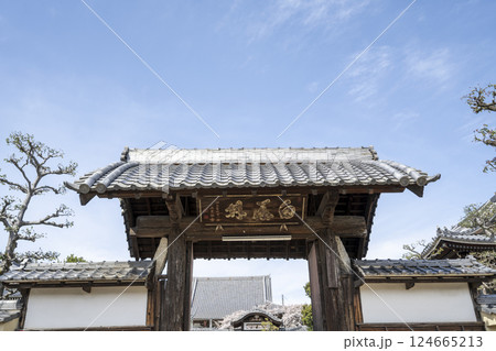 春の香積院 124665213