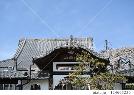 春の香積院 124665220