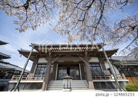 春の香積院 春の香積院 124665253