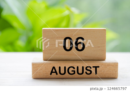 August 6 text on wooden blocks with customizable space for text or ideas. August month and calendar concept. 124665797
