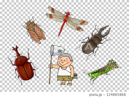 Boy and insects (beetle, cicada, red dragonfly, stag beetle, locust) 124665868