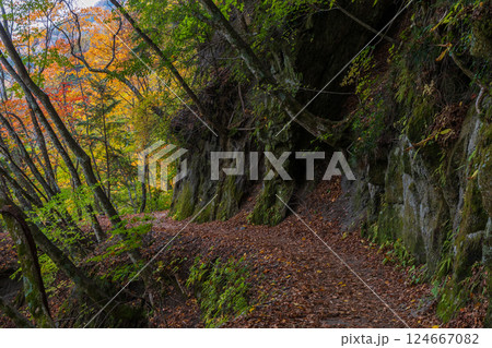 秋の山梨県山梨市　紅葉の西沢渓谷 124667082