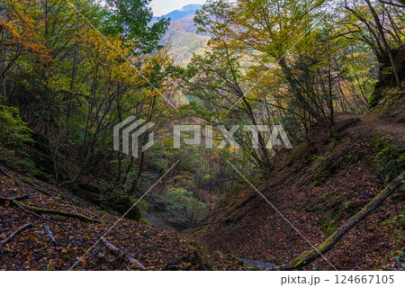 秋の山梨県山梨市 紅葉の西沢渓谷 秋の山梨県山梨市 紅葉の西沢渓谷 124667105