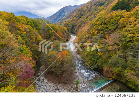 秋の山梨県山梨市 紅葉の西沢渓谷 秋の山梨県山梨市 紅葉の西沢渓谷 124667135