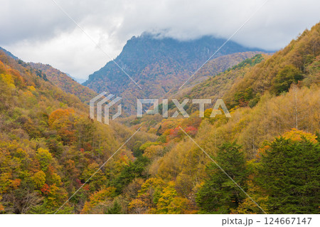 秋の山梨県山梨市 紅葉の西沢渓谷 鶏冠山 秋の山梨県山梨市 紅葉の西沢渓谷 鶏冠山 124667147