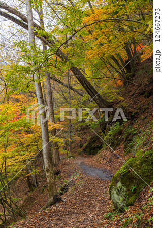 秋の山梨県山梨市　紅葉の西沢渓谷 124667273