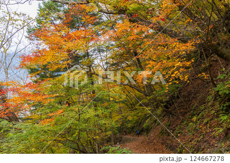 秋の山梨県山梨市　紅葉の西沢渓谷 124667278