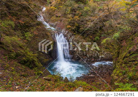 秋の山梨県山梨市　紅葉の西沢渓谷　七ツ釜五段の滝 124667291