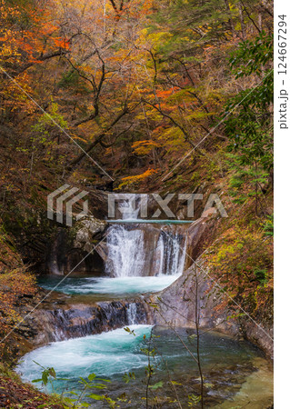 秋の山梨県山梨市　紅葉の西沢渓谷　七ツ釜五段の滝 124667294