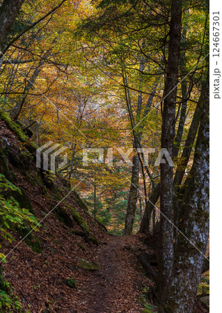 秋の山梨県山梨市 紅葉の西沢渓谷 秋の山梨県山梨市 紅葉の西沢渓谷 124667301