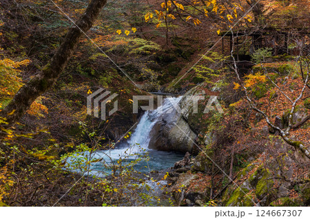 秋の山梨県山梨市　紅葉の西沢渓谷　不動滝 124667307