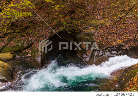 秋の山梨県山梨市　紅葉の西沢渓谷　母胎淵 124667423