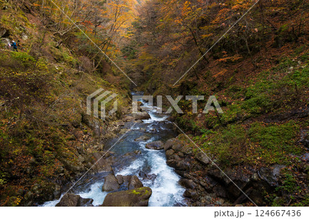 秋の山梨県山梨市　紅葉の西沢渓谷 124667436