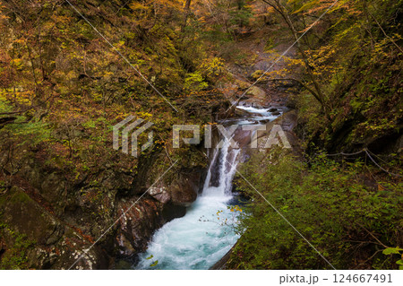 秋の山梨県山梨市　紅葉の西沢渓谷　貞泉の滝 124667491