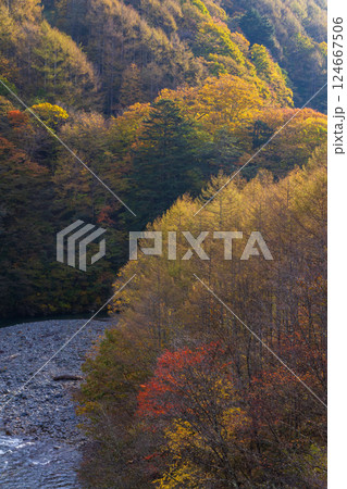 秋の山梨県山梨市　紅葉の西沢渓谷 124667506
