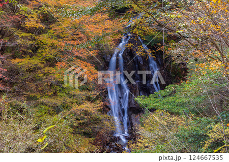 秋の山梨県山梨市 紅葉の西沢渓谷 大久保の滝 秋の山梨県山梨市 紅葉の西沢渓谷 大久保の滝 124667535