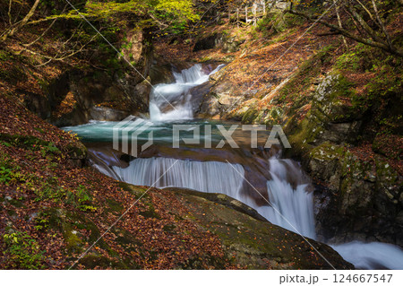 秋の山梨県山梨市　紅葉の西沢渓谷　三重の滝 124667547