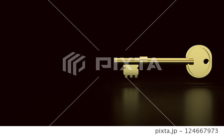 The Gold key for security or business concept 3d Rendering. 124667973