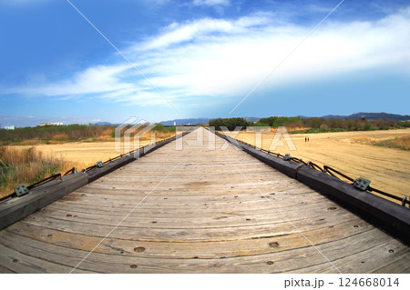 京都 木津川流れ橋(上津屋橋) 京都 木津川流れ橋(上津屋橋) 124668014