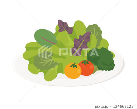 お皿に盛りつけたサラダのイラスト お皿に盛りつけたサラダのイラスト 124668125